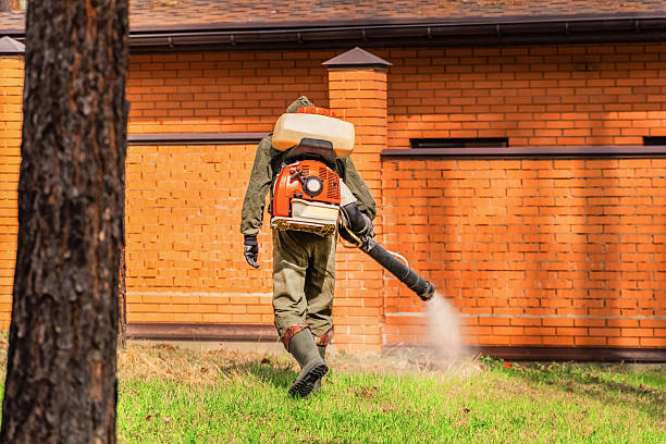Bed Bug Clearance Verification and Documentation in Proctor